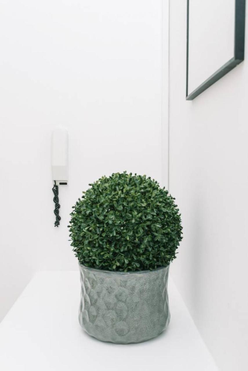 Joivy Palmerston Place Residence - Luxury City Centre Apt With Private Parking EDI Eksteriør bilde